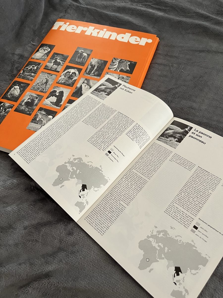 Bücher: Fotobuch von 1975 – Gebraucht aus baden von jessgold 3