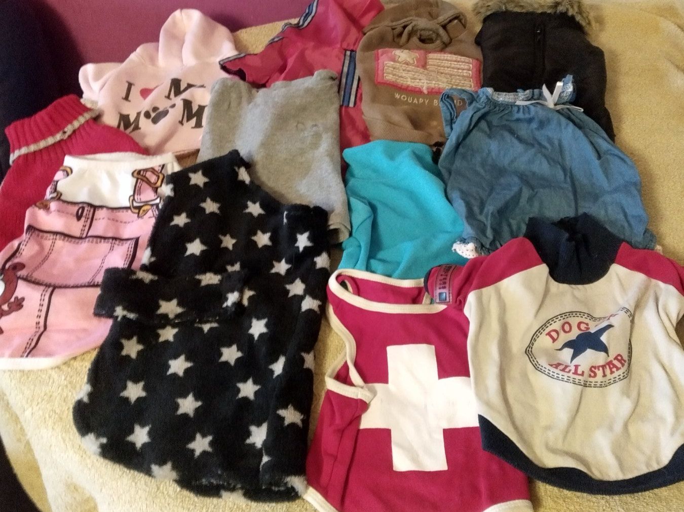Abbigliamento: Div.Hundezubehör Grösse S – Usato da Oberbipp venduto da Dollerhome