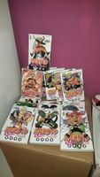 Lot Manga Naruto 