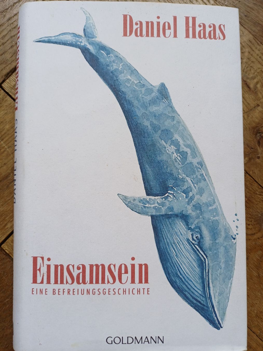 Livres: Daniel Haas Einsamkeit Ein Befreiungsgeschichte Buch 2026 – Neuf (Voir description) à Bern par rikivip