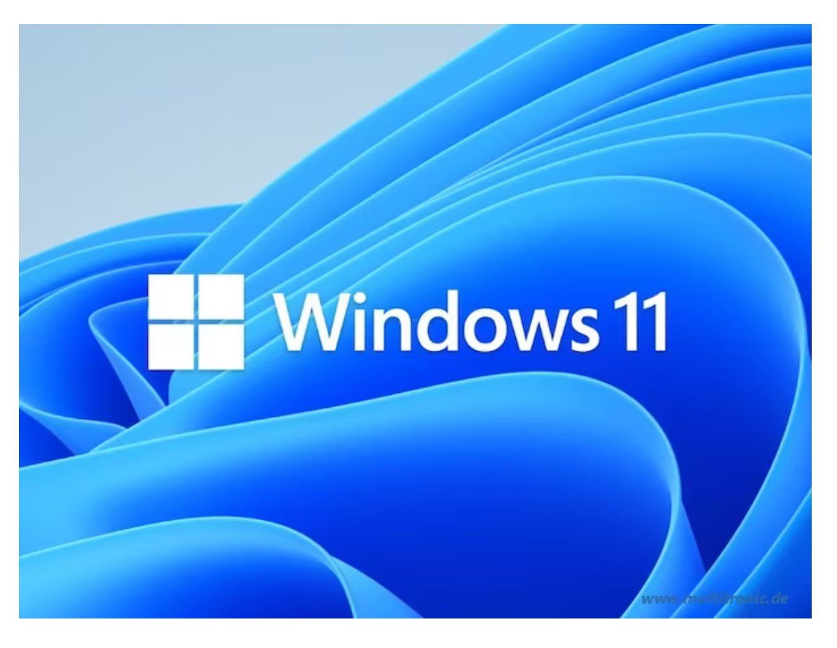 Microsoft Software: Microsoft Windows 11 Pro Lizenz – Usato da Nussbaumen AG venduto da jan.exc 3