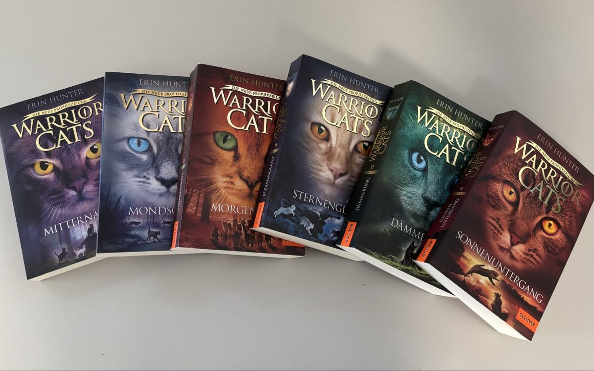 Libri: Warrior Cats Staffel 2 komplett – Usato da Hunzenschwil venduto da ede_h8tt 1