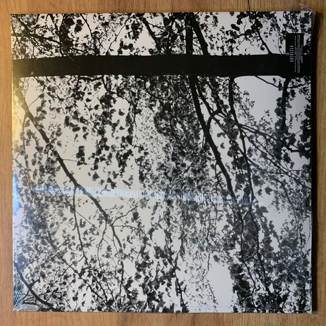 Schallplatten: TONI VESCOLI - INFORMATION...RE ESP 2013...SEALED – Gebraucht aus Gals von Diskopatshop 1