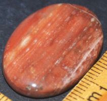 Cabochon L-1397 – Versteinertes Holz Stein – 29x20mm