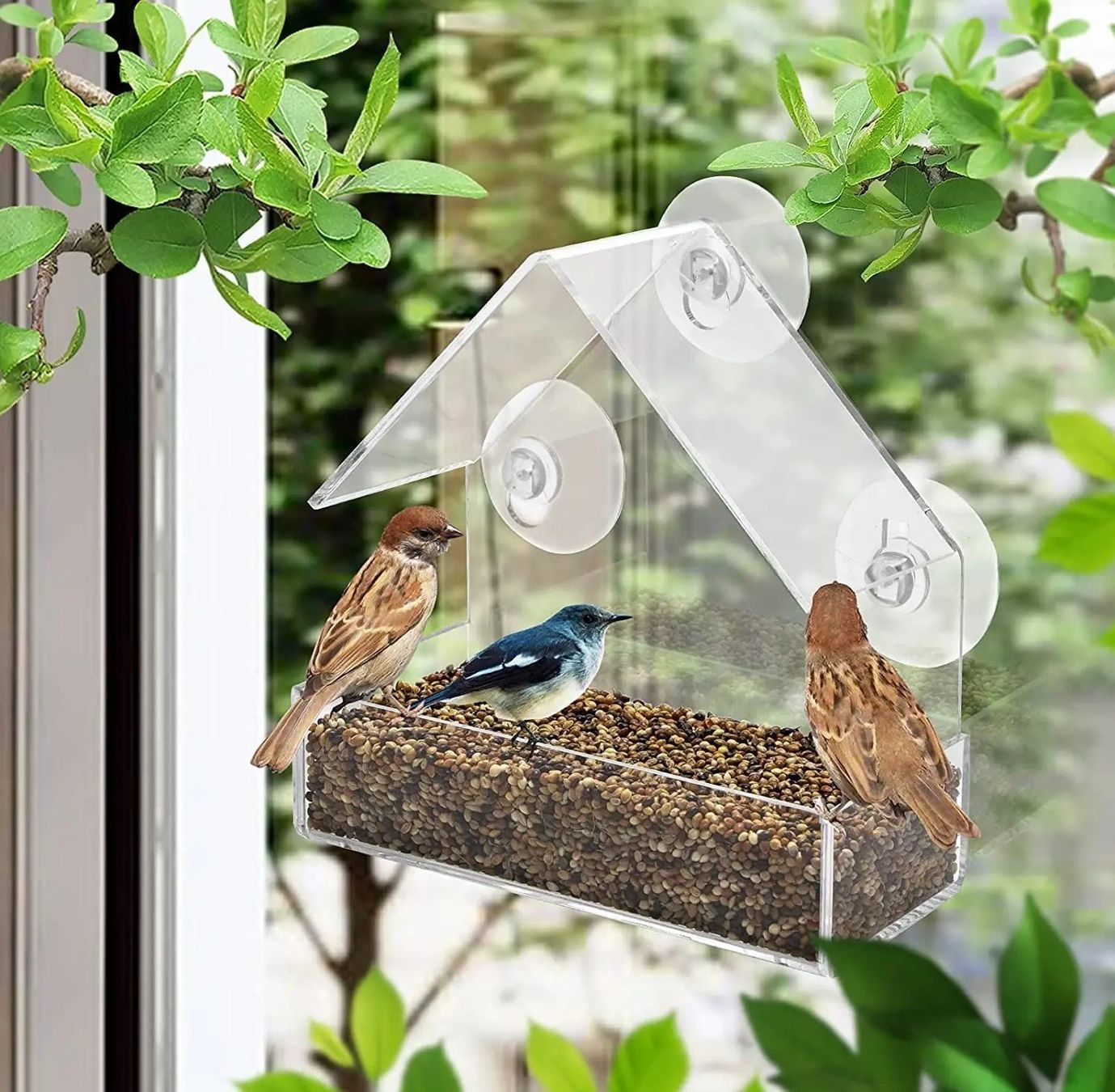 Vogelhäuser: Fenster Wild vogel Feeder – Neu und originalverpackt aus Uerkheim von Kaufoption