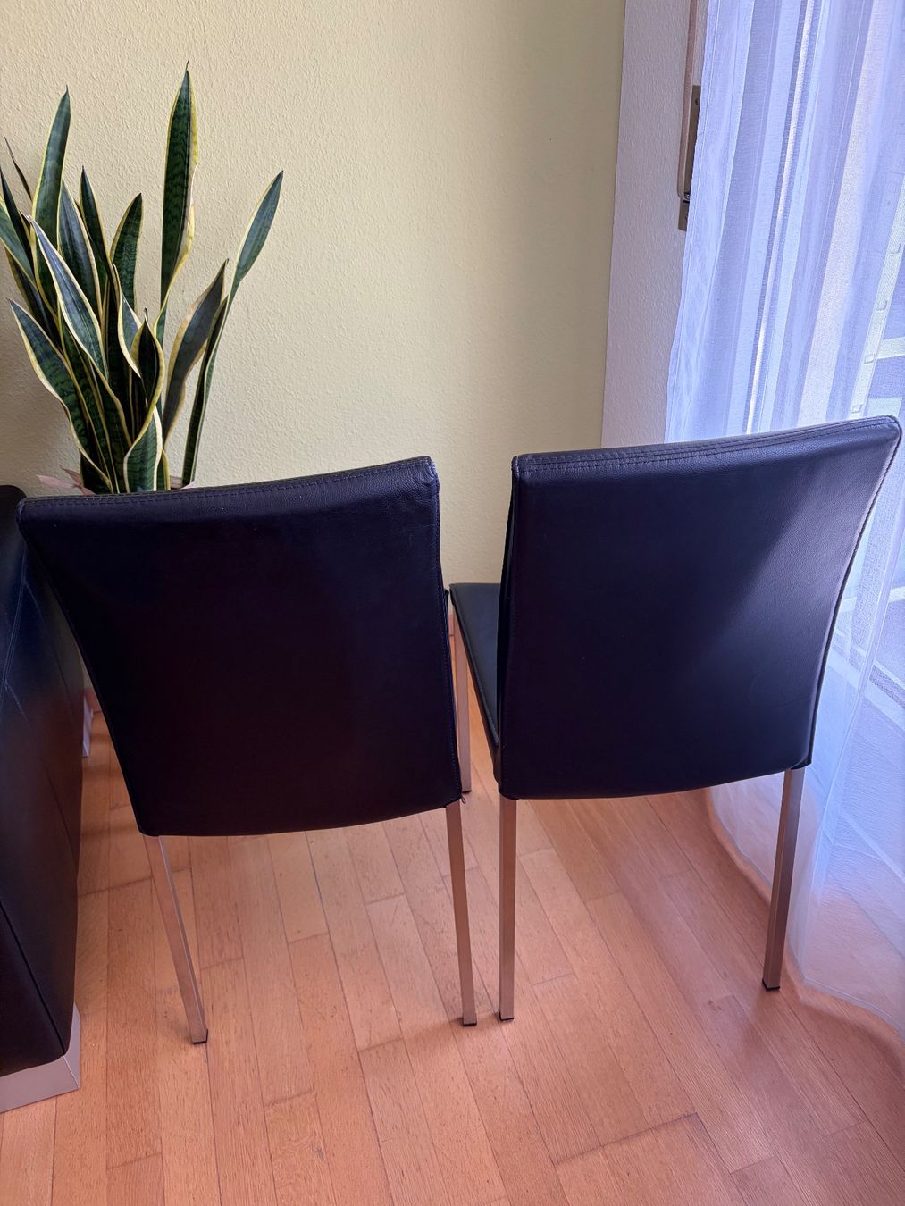 Interio Chaises: 2 schwarze Essstühle von Interio – D'occasion à Winterthur par Skuenzle 5