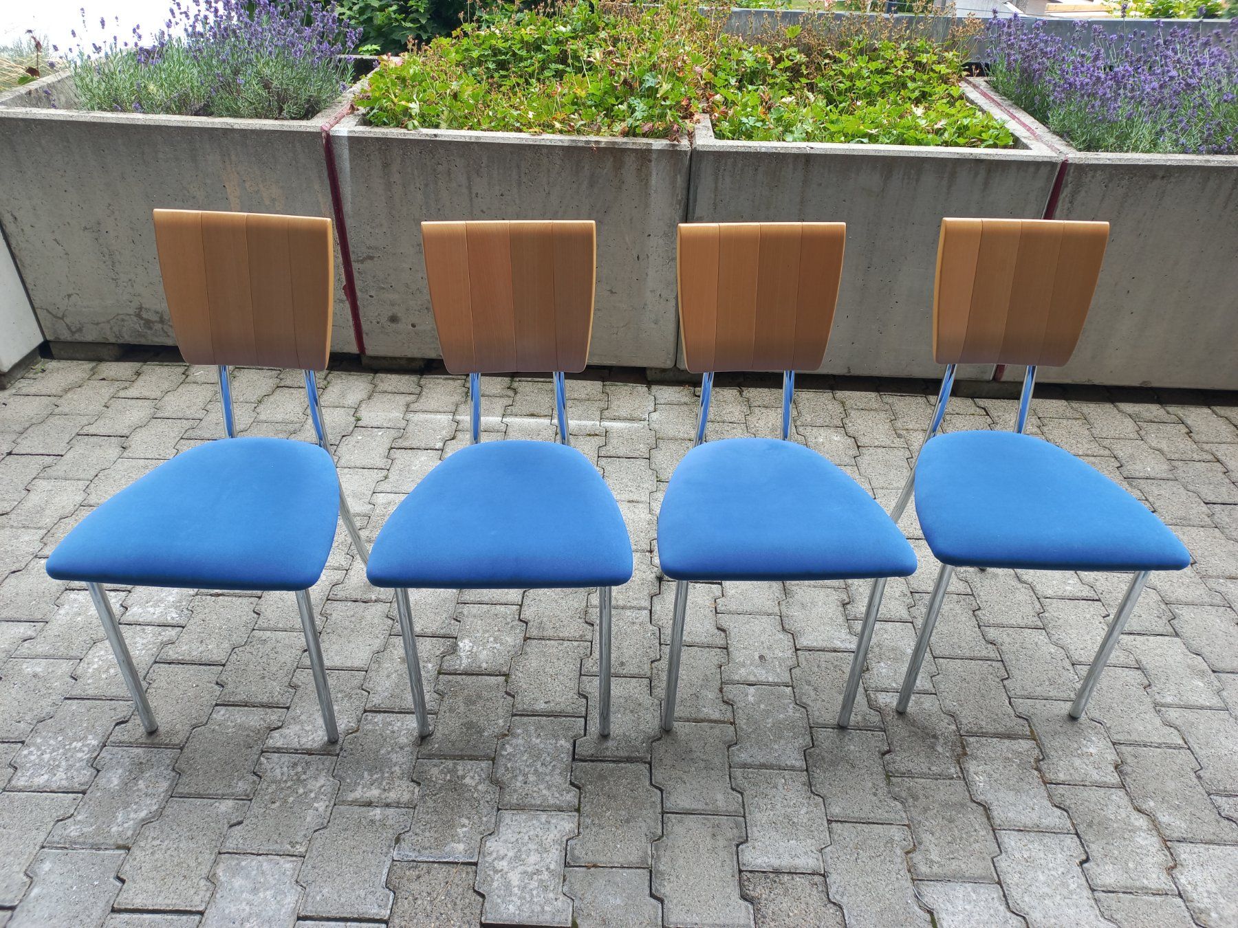 Stühle: Blaue Stühle zu Esstisch – Gebraucht aus Kehrsatz von Anet66