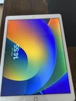 iPad Pro 12,9” (1. Gen) – 128 GB | mit Lederhülle & Apple Pe