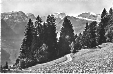 Cartes postales: Braunwalder Höhenweg – D'occasion à Ottikon b.Kemptth. par Neptun1974