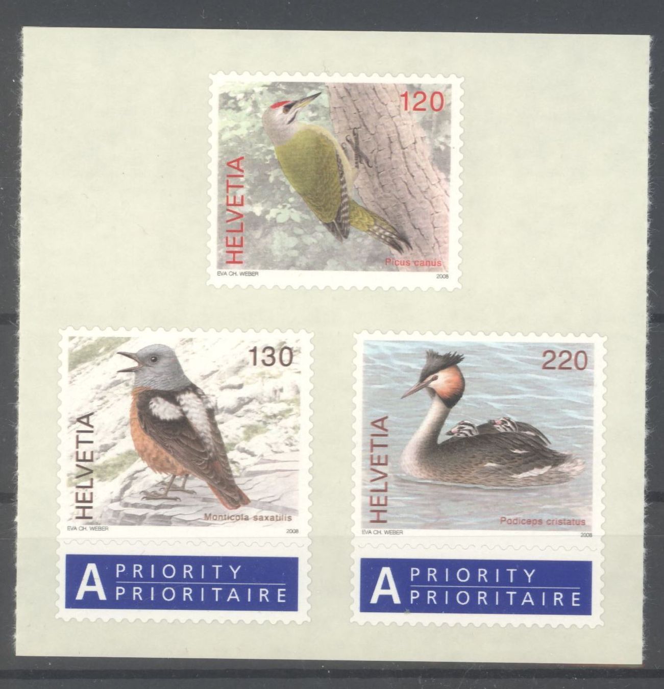 Tutti i francobolli: 2008, Dauermarken Einheimische Vögel ** – Usato da Willisau venduto da Vollstempel