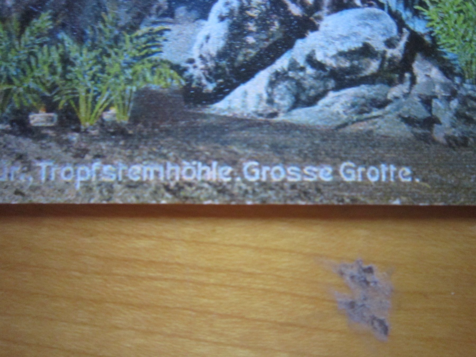 Ansichtskarten: BAD THAL in Chür schöne Antika Postkarten – Gebraucht aus Gordola von Polentaefung 2