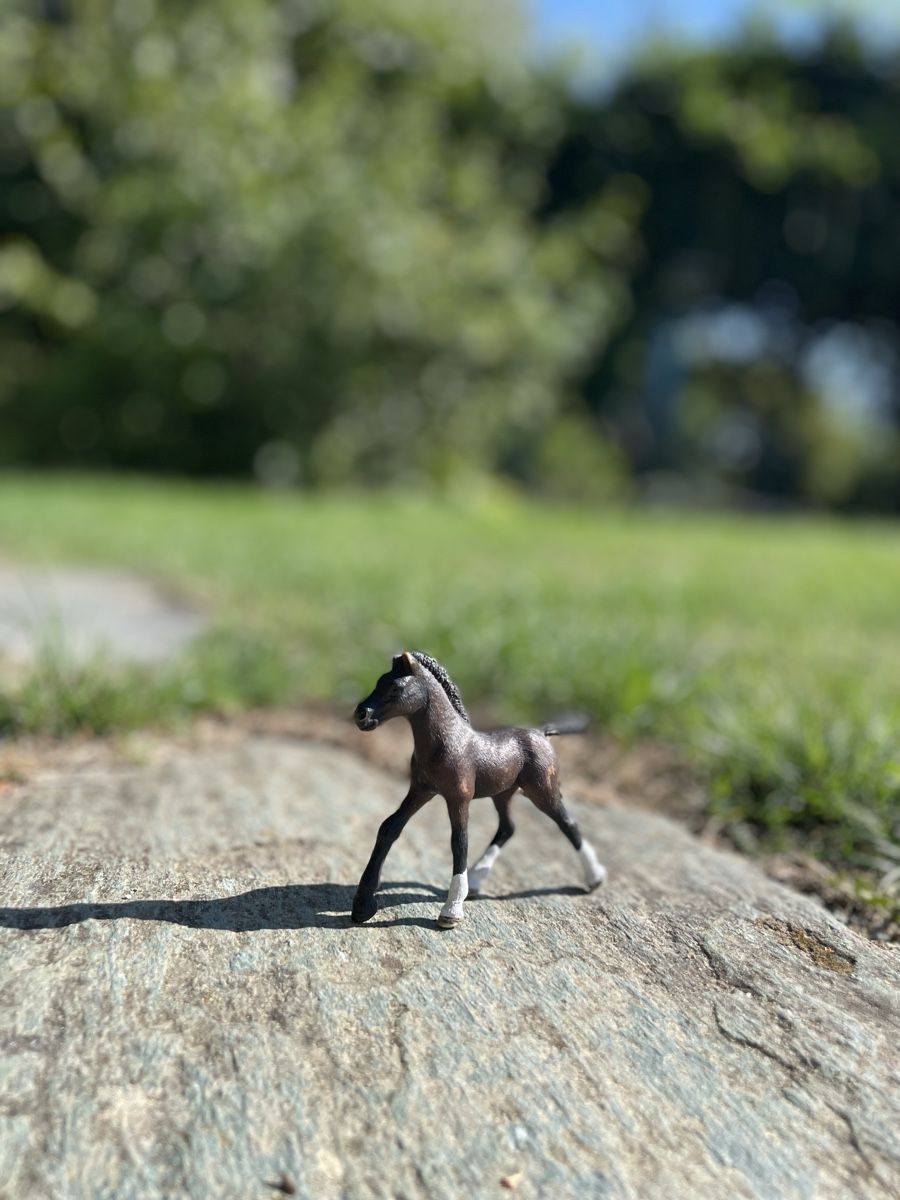 Schleich Giocattoli: Collection de chevaux Schleich  – Nuovo (secondo la descrizione) da Bussigny-sur-Oron venduto da adaouk 3