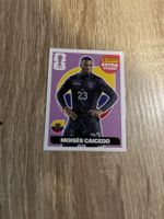Panini coupe du monde 2026 extra Sticker Caicedo Lila violet