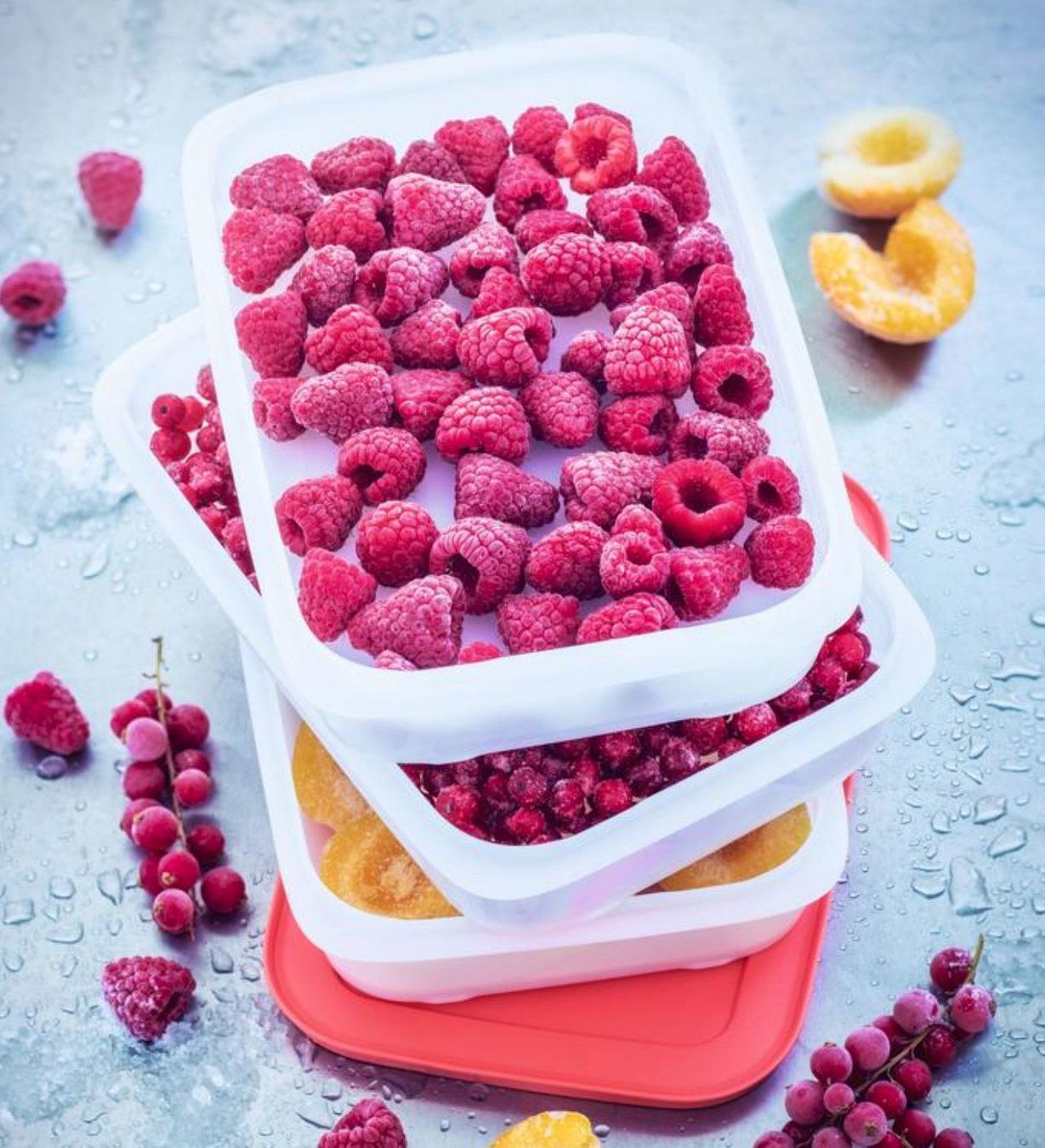 Contenitori & Simili: Tupperware - Freeze`N Fresh – Nuovo (secondo la descrizione) da Kaufdorf venduto da bambulka22 3
