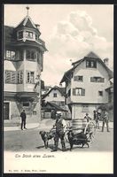 Luzern, Herr mit Hundegespann in einer S