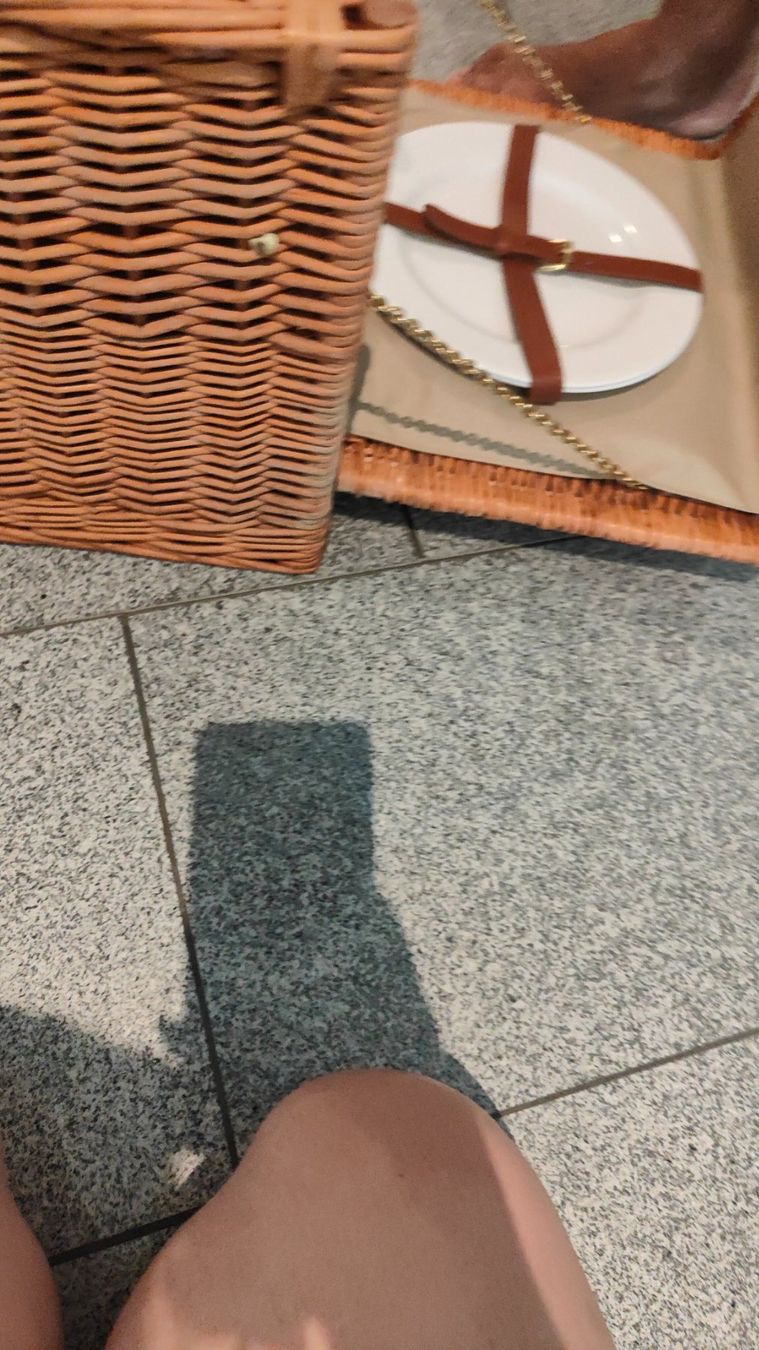 Altro per la casa: Picknick-Korb – Nuovo (secondo la descrizione) da Richterswil venduto da hadimodarres 2