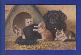 CHAT - Chats et chien - W. Schwar