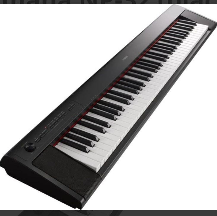 Yamaha Strumenti musicali: Yamaha NP 32 Black – Usato da Appenzell Meister. venduto da Morize98
