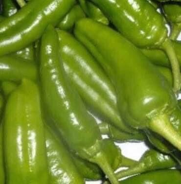 Pflanzen & Samen: 50 SAMEN Paprika FRIGITELLO Piment doux vert – Neu und originalverpackt aus Rovio von POSITIFFARTandPLANTS 2