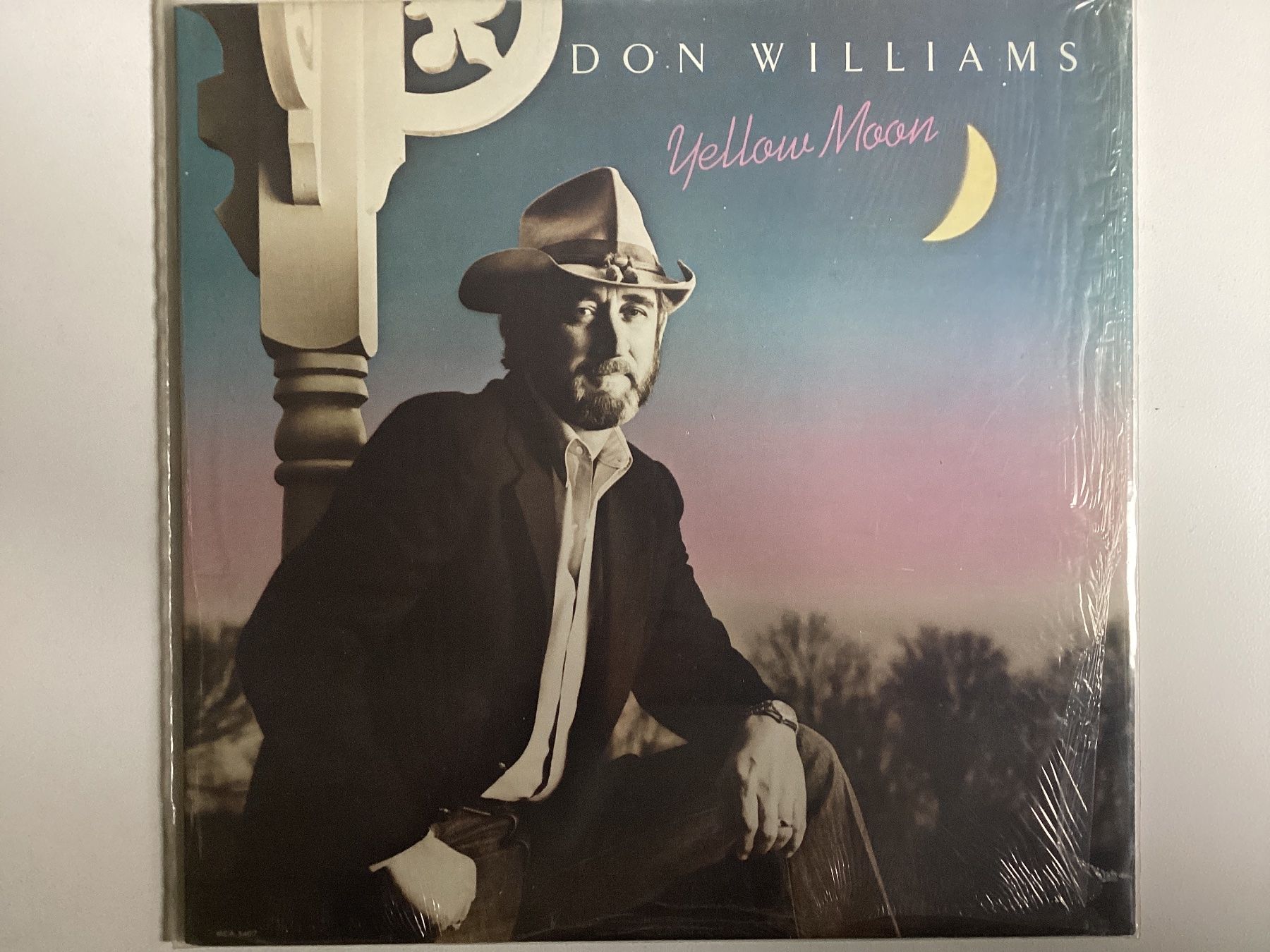 Dischi in vinile: Don Williams LP - Yellow Moon – Usato da Gutenswil venduto da Hamzian