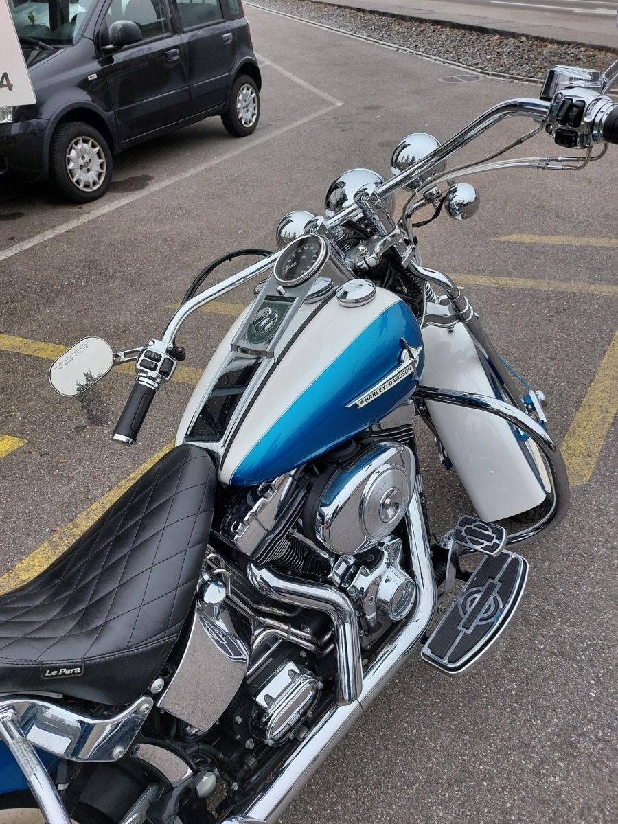 Harley-Davidson Chopper: Harley Davidson FLSTS Softail Springer – Usato da glattbrugg venduto da cheche 4