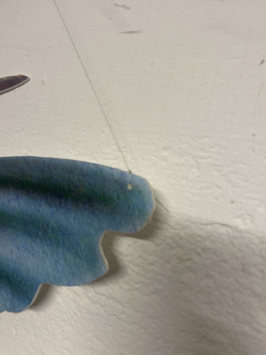 Foto & Immagini: 2 grosse Kolibris Wandbilder Deko – Usato da Bellach venduto da jba03 3