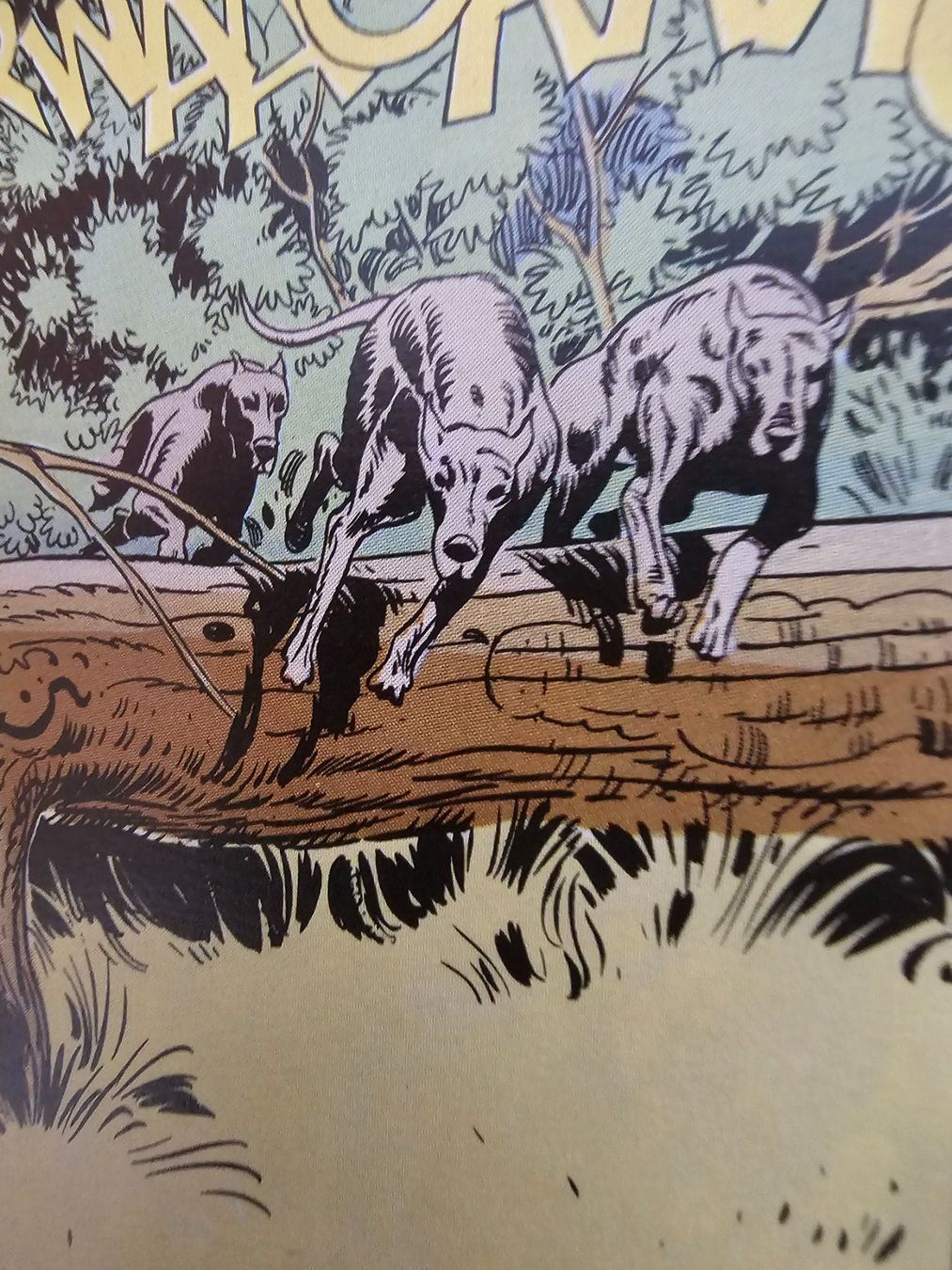 Fumetti: Les Héros Cavalier T.1 2ème éd. 1987 BE – Usato da Genève venduto da Blu_BD 3