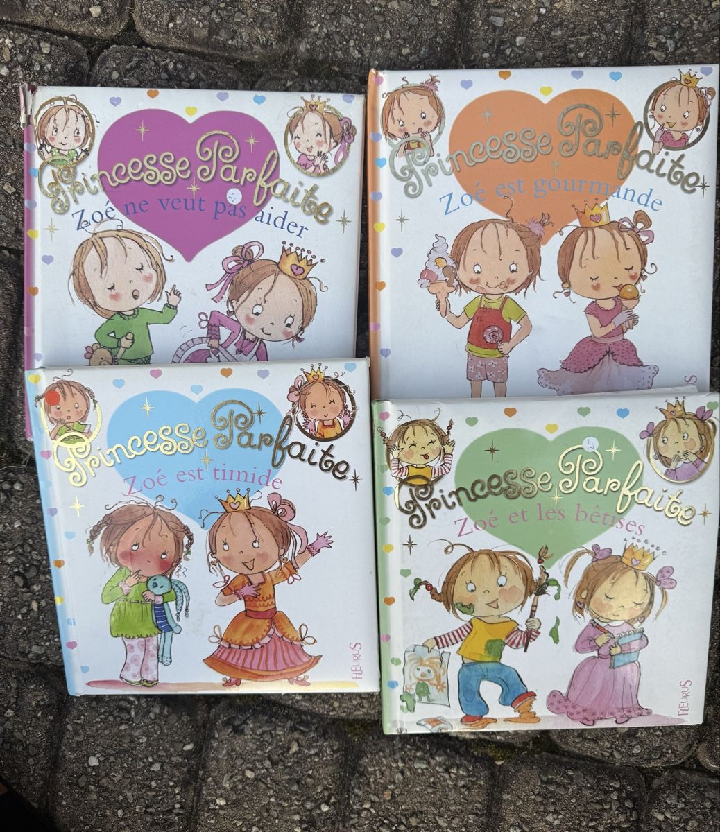 Libri: Livres Princesse Parfaite – Usato da Tavannes venduto da calimero1012