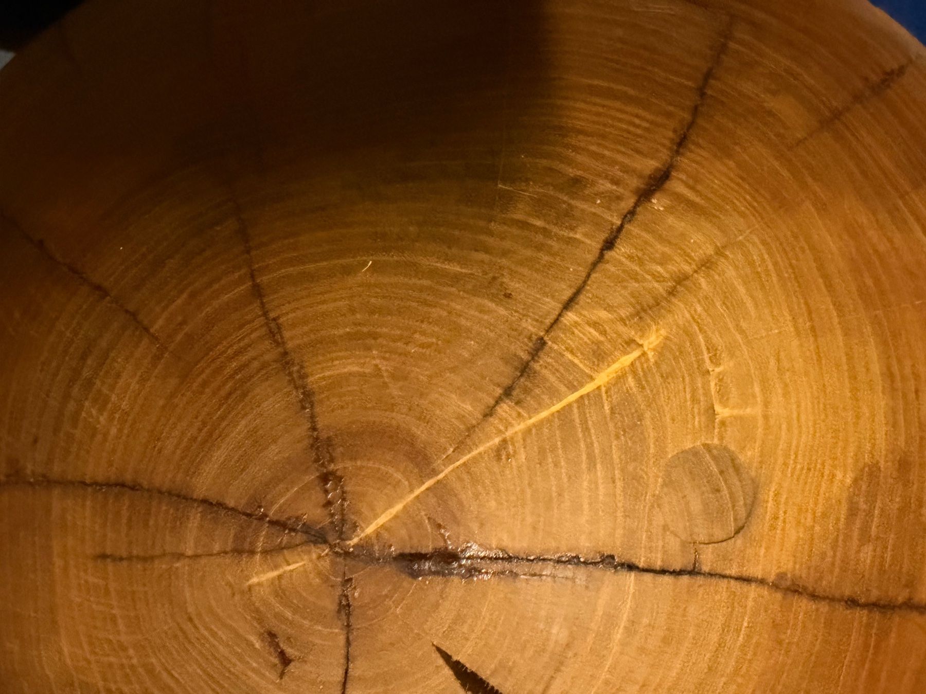 Articoli in legno: Holzkugel Esche; 52 cm; geölt – Nuovo (secondo la descrizione) da Wildberg venduto da Melramos04