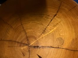 Holzkugel Esche; 52 cm; geölt