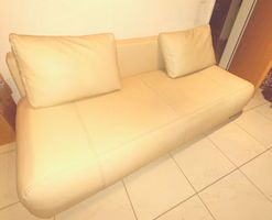 Robustes Bettsofa Beige mit grossem Stauraum & 2 grossKissen