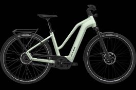 NEU E-BIKE FLYER 25KM/H | 85NM & 750WH BOSCH ELEKTROVELO