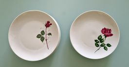 Dessertteller v.Winterling Rose 4 x geschl.,2 x offene Rose