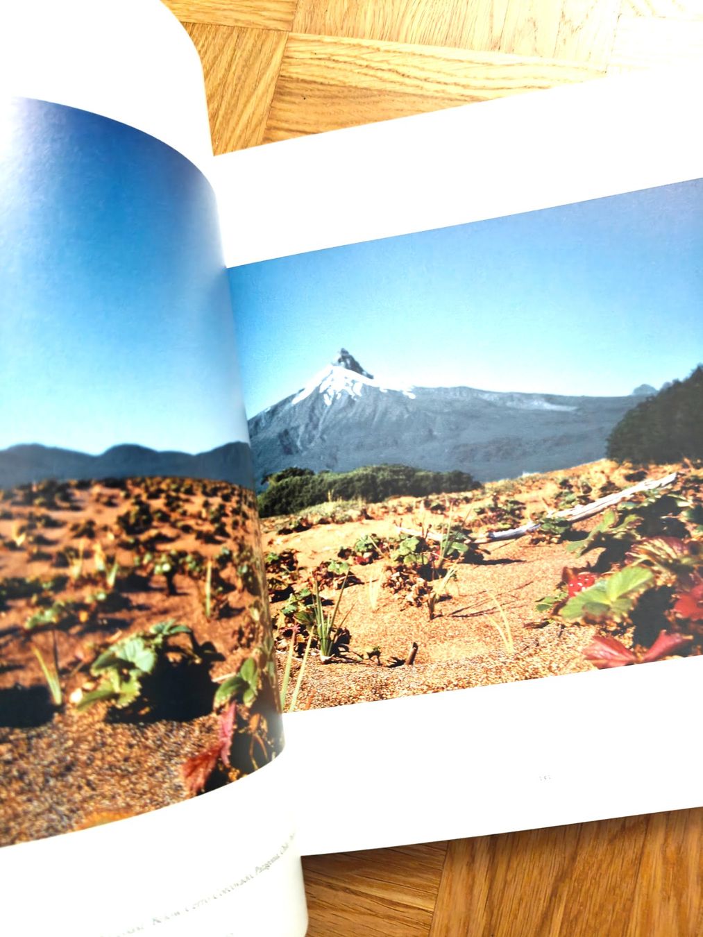 Libri: 180 South Book + Cerro Torre DVD – Usato da Zürich venduto da syjo33 4