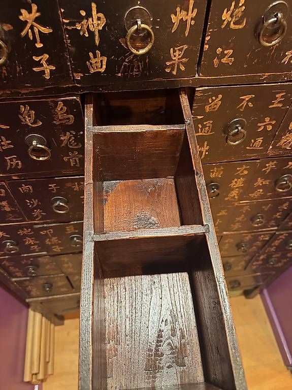 Armadi: Echter Chinesischer Medizinschrank – Usato da Richterswil venduto da lschobinger 2