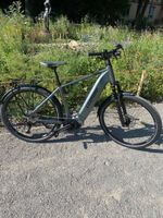 Neues E-Bike Bosch Performance Line Speed 45 km/h