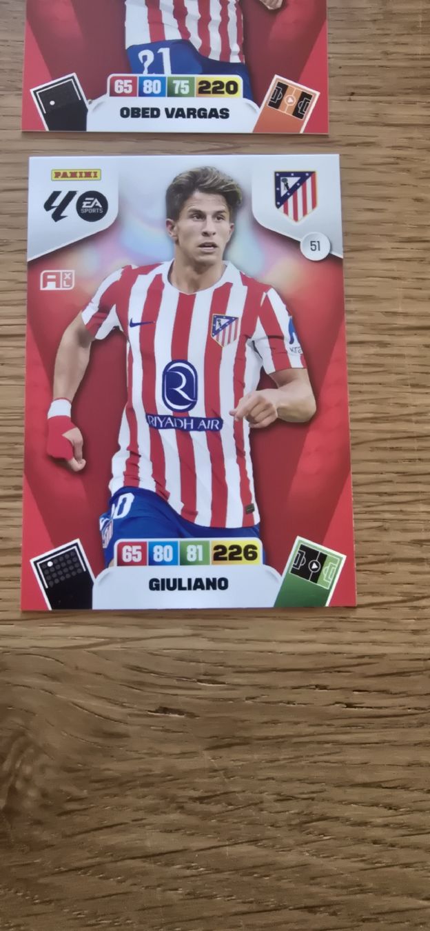 Panini Carte collezionabili: Laliga Panini  Atletico de Madrid – Usato da Safnern venduto da Brionne 1