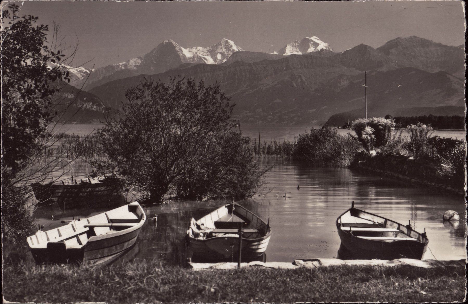 Cartes postales: 1965 AK Am Thunersee - Eiger - Mönch - Jungfrau – D'occasion à Eggersriet par stamp303