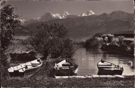 1965 AK Am Thunersee - Eiger - Mönch - Jungfrau