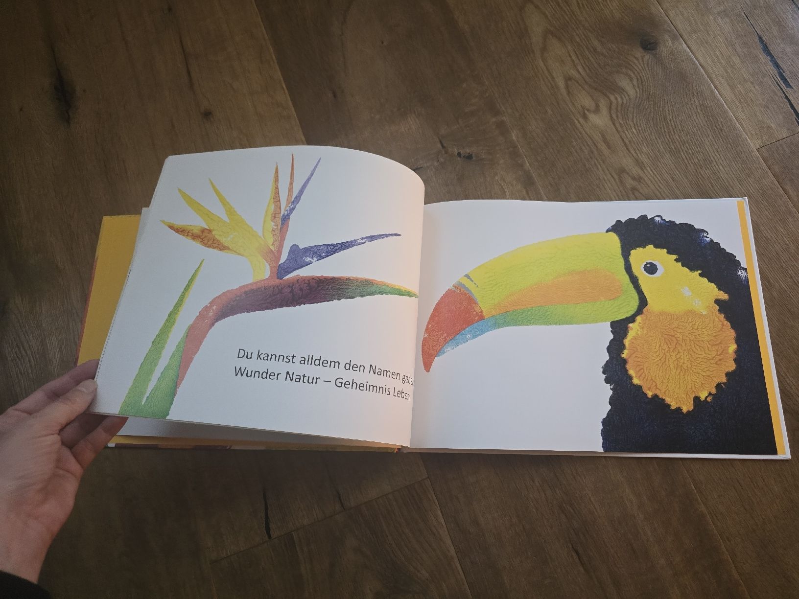 Bücher: Kinderbuch "Was macht die Farben bunt?" Marcus Pfister – Gebraucht aus Wittenbach von Tigerlili 6