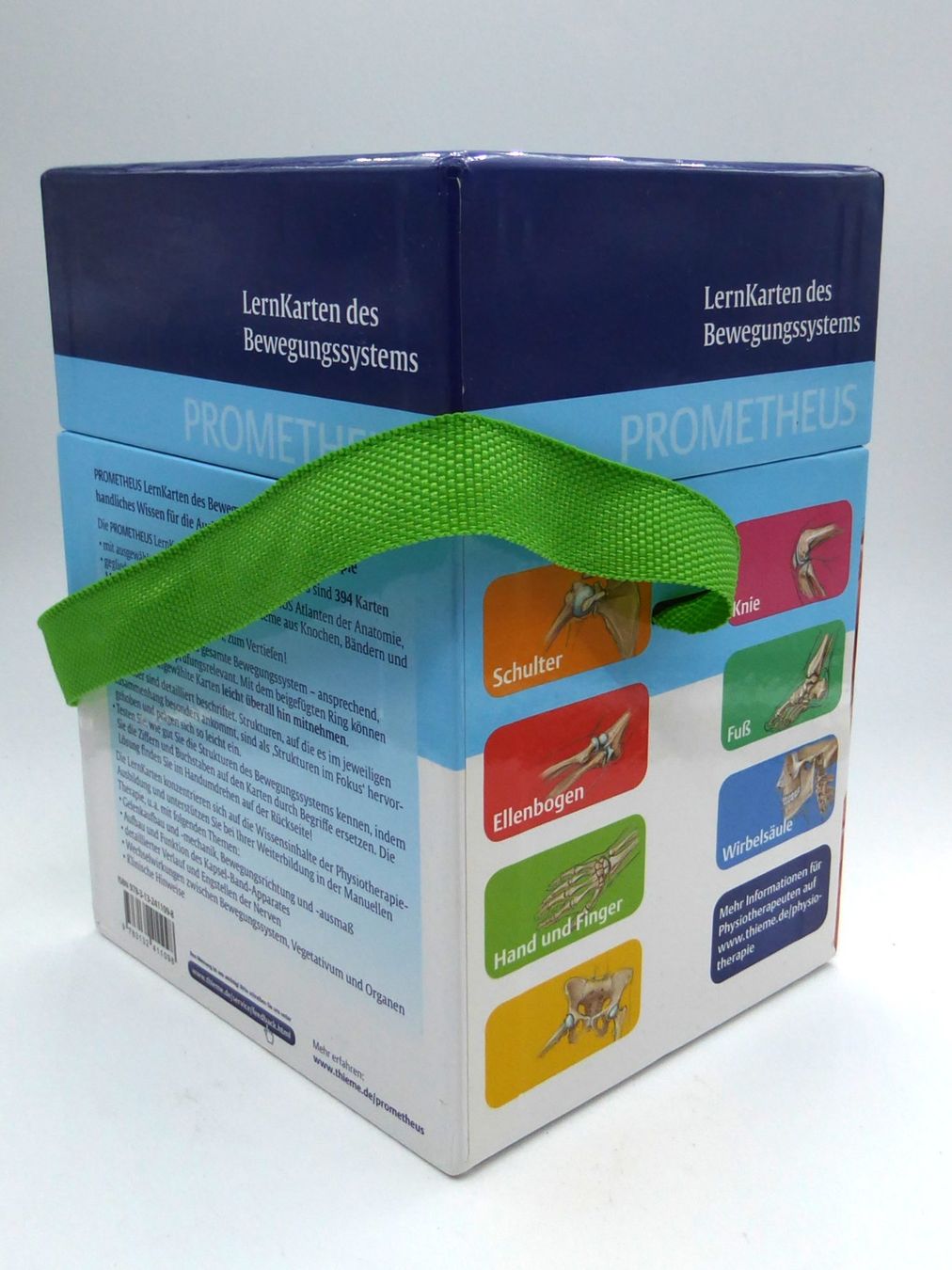 Altro materiale scolastico: PROMETHEUS LernKarten der Anatomie / des Bewegungsystems – Nuovo (secondo la descrizione) da Volketswil venduto da brockipfannenstil 4