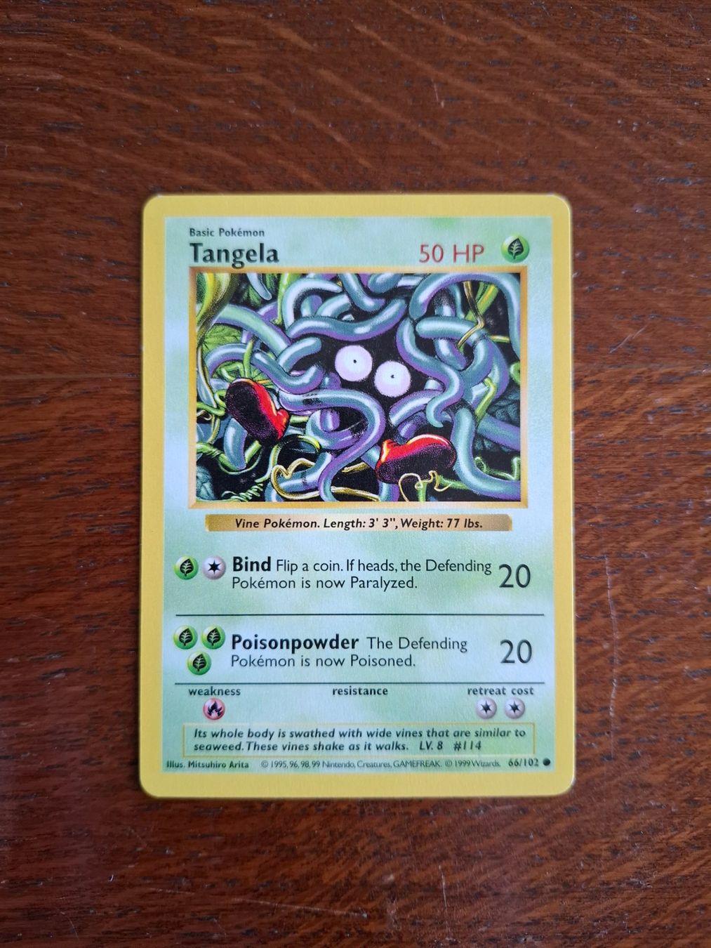 Pokémon Carte collezionabili: Pokemon Tangela Base Set Shadowless 66/102 – Usato da Giornico venduto da ale_lc8k