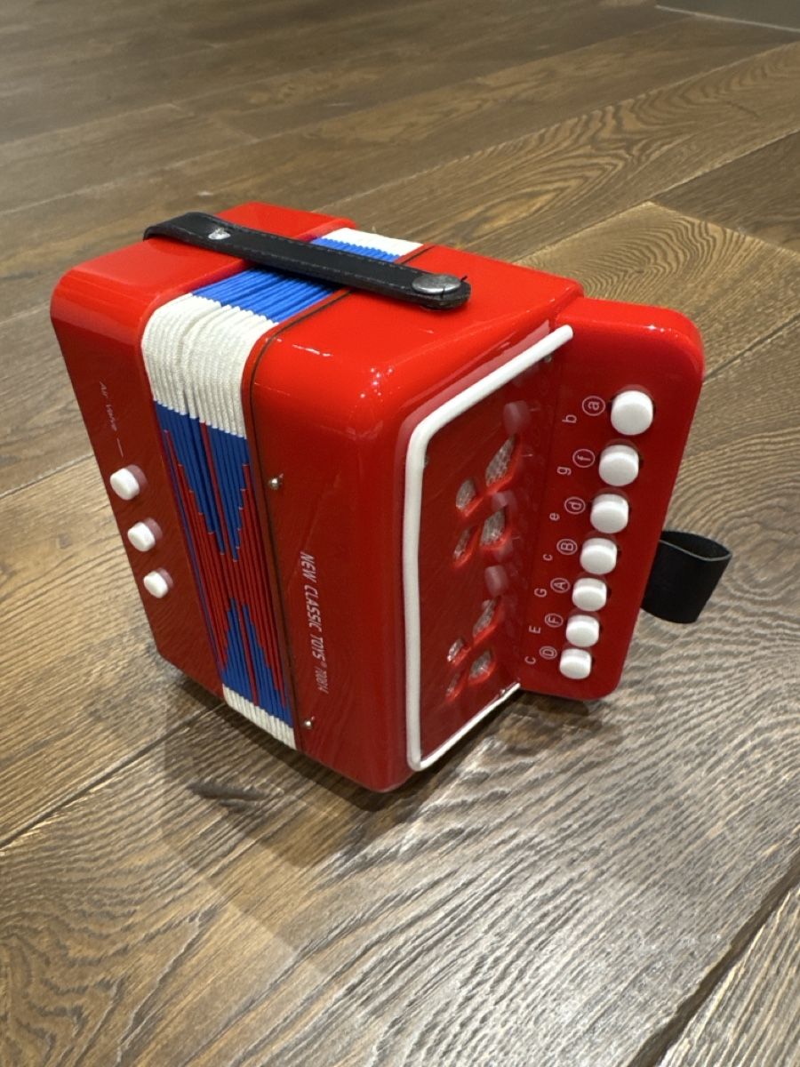 Giocattoli: Spielhandorgel – Usato da Büren SO venduto da Nuri09