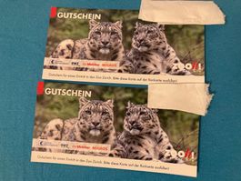 Zürich Zoo zwei Gutschein 🐒🐗🪱🐝🐧