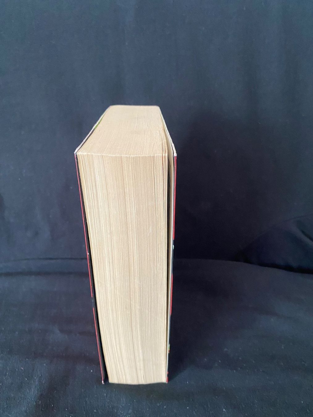 Bücher: Andreas Eschbach Ausgebrannt – Gebraucht aus Kreuzlingen von ROMANR1 3