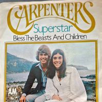 Vinyl-Single Carpenters - Superstar