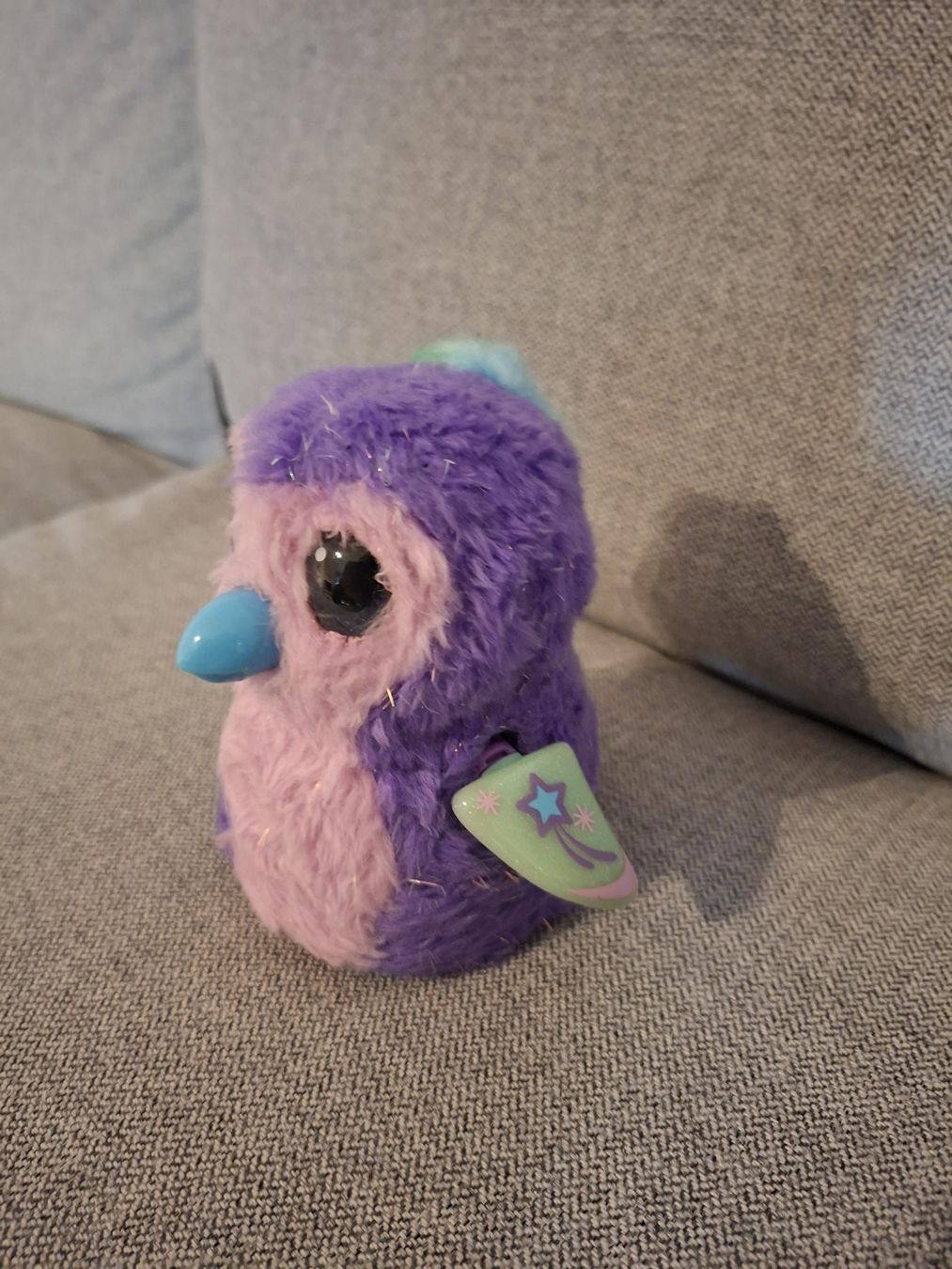 Hatchimals Spielzeuge: Hatchimal plus bewegende Spinne – Gebraucht aus Oberwil BL von Nisli99 3