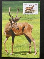 China 1999 Maximumkarte Isubra Hirsch Bock