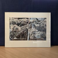 Hans Erni  Pferde Motiv gerahmt 47x36cm  🐎