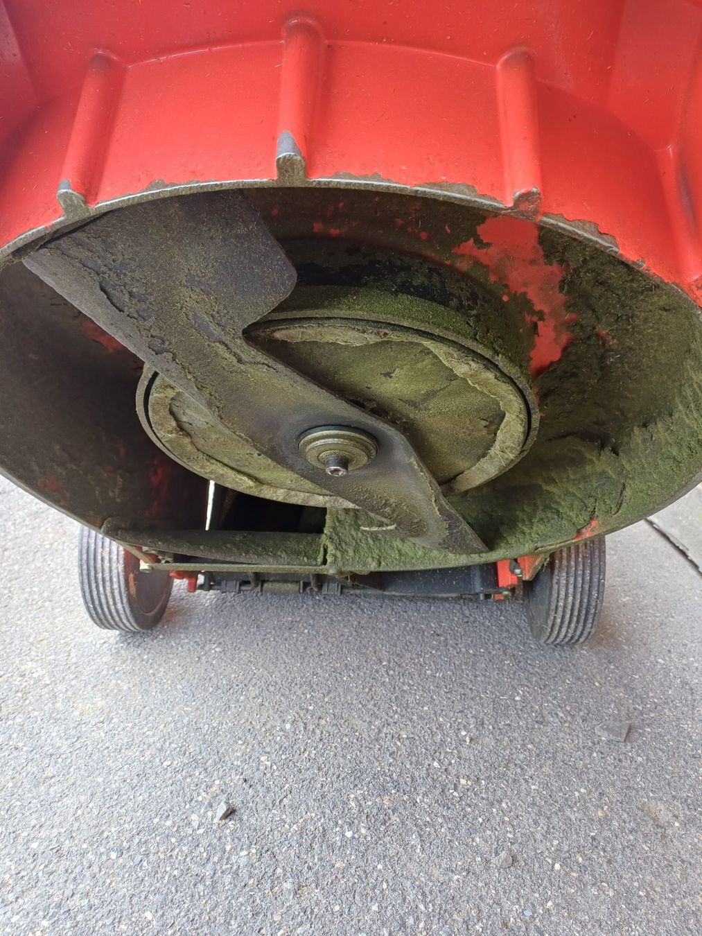 Tagliaerba: Sabo Compact-43 Rasenmäher – Difettoso da Sempach Station venduto da Sachs77 4